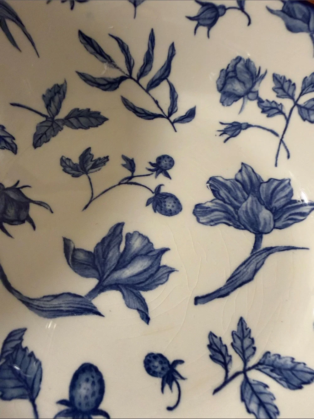 Royal Stafford Floral Ceramic Soup Bowls - Classic Botanical set of 6